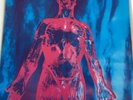 Nirvana Sliver, b/w Dive, About A Girl (live) Blue Marbled Vinyl