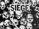 SIEGE DROP DEAD GREY MARBLE VINYL DEEP SIX NAPALM DEATH S.O.B. DROPDEAD