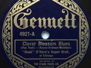 Two 1920's Gennett 78 rpm records,  Free US Ship