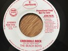 The Beach Boys Brian Wilson 