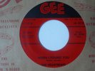 Nos Doo Wop 45  HEARTBEATS  WHEN I FOUND YOU / HANDS OFF MY BABY