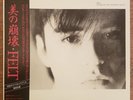2 x FELT crumbling the antiseptic beauty Japanese and felt 12