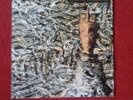 Siouxsie and the Banshees Ju Ju Vinyl LP 1981
