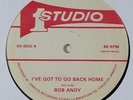 Bob Andy 