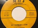Dan Johnson Rare Ohio Rockabilly 45 Stomper 1958 M&J My Ramblin’s Over READ