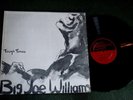 ARHOOLIE LP BIG JOE WILLIAMS 