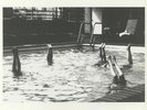 IN AETERNAM VALE - La Piscine - Vinyl (limited coloured vinyl 12