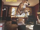 Raditude [LP] by Weezer (Vinyl, Oct-2009, DGC/Interscope) AUTOGRAPHED