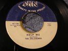 DEL-CHORDS Say That You Love Me / Help Me Doo Wop Rock 45 Orig. Str. VG