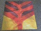 Yeah Yeah Yeahs Show Your Bones + Inner Rare Original UK LP