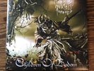 Children Of Bodom Relentless Reckless LP Vinyl