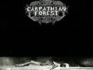 Carpathian Forest - Black Shining Leather 180 Gram Vinyl LP - SEALED - new copy