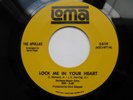 Northern Soul APOLLAS You're Absolutely Right/Lock Me In Your Heart NM Unplayed