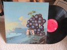 MOBY GRAPE 