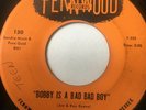 RARE Teen 45/ Barbara Perry 