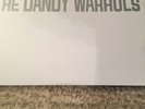 The Dandy Warhols Debut Album Grey Vinvl Double LP New And Sealed