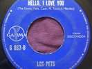 THE PETS - Hello I Love You  RARE Venezuela fuzz psych garage rock Gamma 45 HEAR