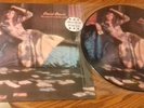DAVID BOWIE - Man Who Sold the World -Picture Disc Vinyl LP