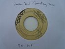 JUNIOR SOUL Travelling Man BLANK PRE  Heavy Roots Killer  7