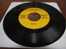 MC-5 Rare 45 I CAN ONLY GIVE YOU EVERYTHING 1969 AMG Records Garage Beauty