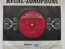 Tyrannosaurus Rex KING OF THE RUMBLING SPIRES 7