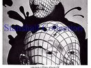 Vivian Stanshall of the Bonzo Dog Doo-Dah Band biG GRunt twin flyers Special