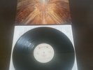 CYNIC  FOCUS FIRST PRESS VINYL LP ATHEIST DEATH OBSCURA GRUESOME MORBID ANGEL
