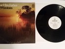 Funk Soul PROMO LP The Winstons - Color Him Father Metromedia MD 1010