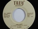 Modern Soul Boogie 45 FLESH Dreamin' TREY HEAR
