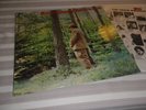 EMERGENCY: EMERGENCY ENTRANCE, GER 1st Press 1972 in MINT, CBS S64928, KRAUT