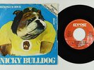 Psych Fuzz Glam 45 - Nicky Bulldog - Chewingum Song - Grog Italy - mp3