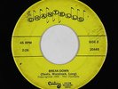 Garage 45 - Chantells - Break-Down - Century - mp3