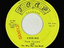 Psych Folk 45 - Tom Tyson & the Why Not Jug Band - Codine - Faap - mp3 obscure