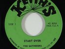 Gatherers 