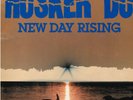 Hüsker Dü ?– New Day Rising       LP VG+++