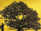 Jack Johnson In Between Dreams vinyl LP