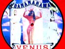 Bananarama   Picture Disc Record  7