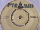 THE MAYTALS:DON'T TROUBLE TROUBLE.1969 PYRAMID+BEVERLEY ALL STARS:DOUBLE ACTION.
