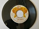 ACIAMAJ - JAH CHOSEN PEOPLE // VERSION / BIG CAT 7