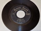NW rock 45 surf exotica THE BLUE JEANS DJ Theme/Moon Mist 1961 Souvenir IDAHO vg