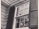 What A Pleasure EP - BEACH FOSSILS [Vinyl-Single]