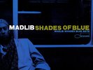 SEALED NEW LP Madlib - Shades Of Blue: Madlib Invades
