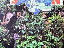 Savoy Brown - A Step Further ( UK 1969 ) Vinyl LP re-release