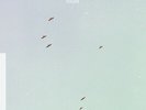 LYCORISCORIS Flight LP NEW VINYL Anjunabeats