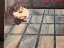 the SKIDS very rare signed LP Scared To Dance (Big Country vinyl crossing)