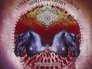 Twin Horses [VINYL] Lydia Lunch and Cypress Grove/Spiritual Front Vinyl