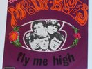 THE MOODY BLUES      ----  fly me high   -----