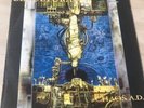 SEPULTURA - CHAOS  A.D.  LP  ORIG 1993 UK ROADRUNNER RECORDS RR9000-1 VINYL EX