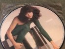Kate Bush Interview Picture Disc UK picture disc LP vinyl album PROMO 1PD12