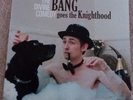 The Divine Comedy - Bang Goes The Knighthood - Vinyl NM